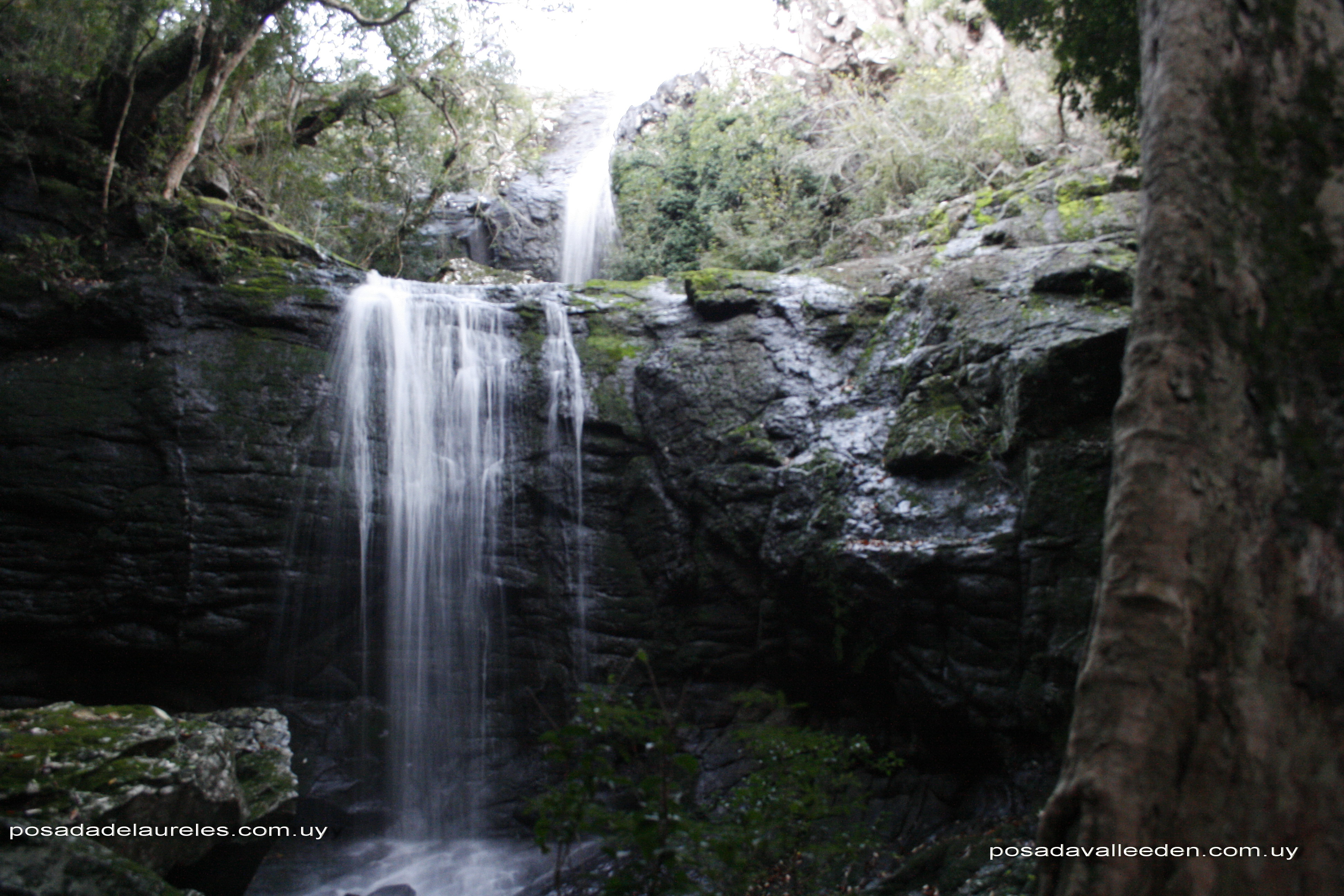 Cascadas en Laureles L