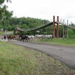 Puente con caballos red