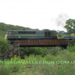 Puente ferrocarril red