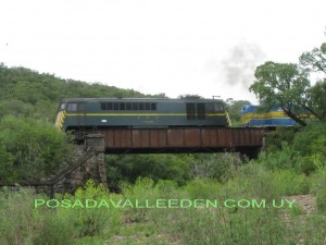 Puente ferrocarril red