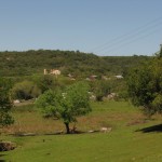 Vista Valle red 521