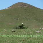 cierras valle eden red