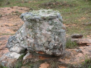 Nuestra imaginacion puede ver en las formas de estas rocas infinidad de objetos, animales, etc.