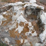 Roca con líquenes, arte abstracto de la naturaleza.