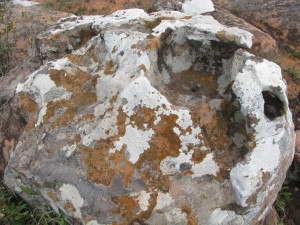 Roca con líquenes, arte abstracto de la naturaleza.