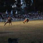 DSC_1296,R