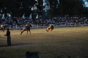 DSC_1296,R