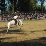 DSC_1347,R