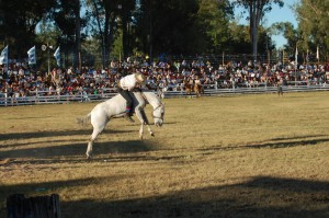 DSC_1347,R