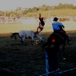 DSC_1373, R