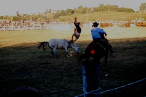 DSC_1373, R