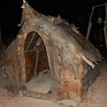 DSC_1392,R