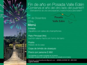 Afiche cena fin de año